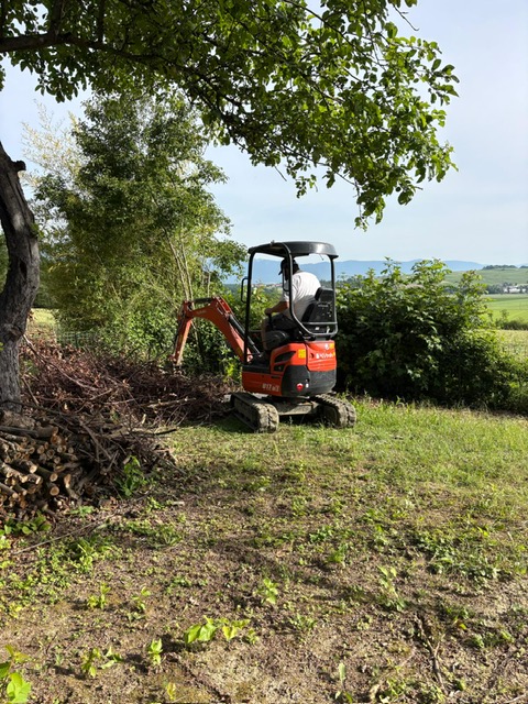 Terrassement des Espace vert. Enlèvement des souches d'arbres. Déssouchage